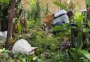 Mutirão de limpeza na comunidade do Colonial em Maricoabo