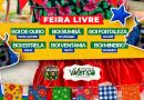 Feira Livre recebe Encontro de Bois e celebra a cultura popular 