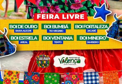 Feira Livre recebe Encontro de Bois e celebra a cultura popular 