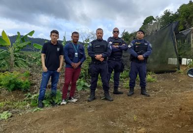 Secretaria de Meio Ambiente intensifica fiscalização e apura crime ambiental na comunidade da Guabiraba